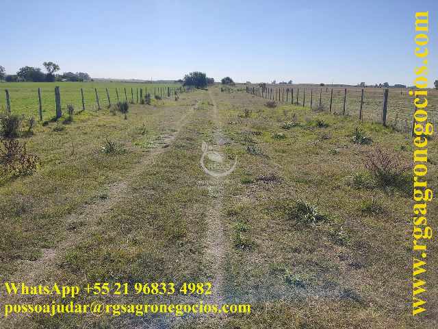 Foto 1 - Fazendas para venda no uruguai